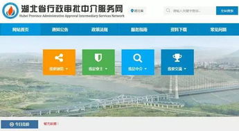 不忘初心，继续前进 如何借力“中介超市”淘到高性价比服务——以湖北率先搭建审批中介超市为例